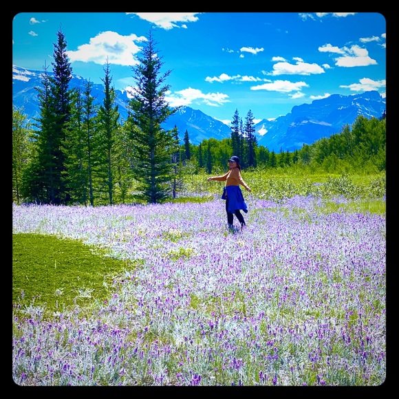 Meet your Posher, Imelda - Picture 1 of 1